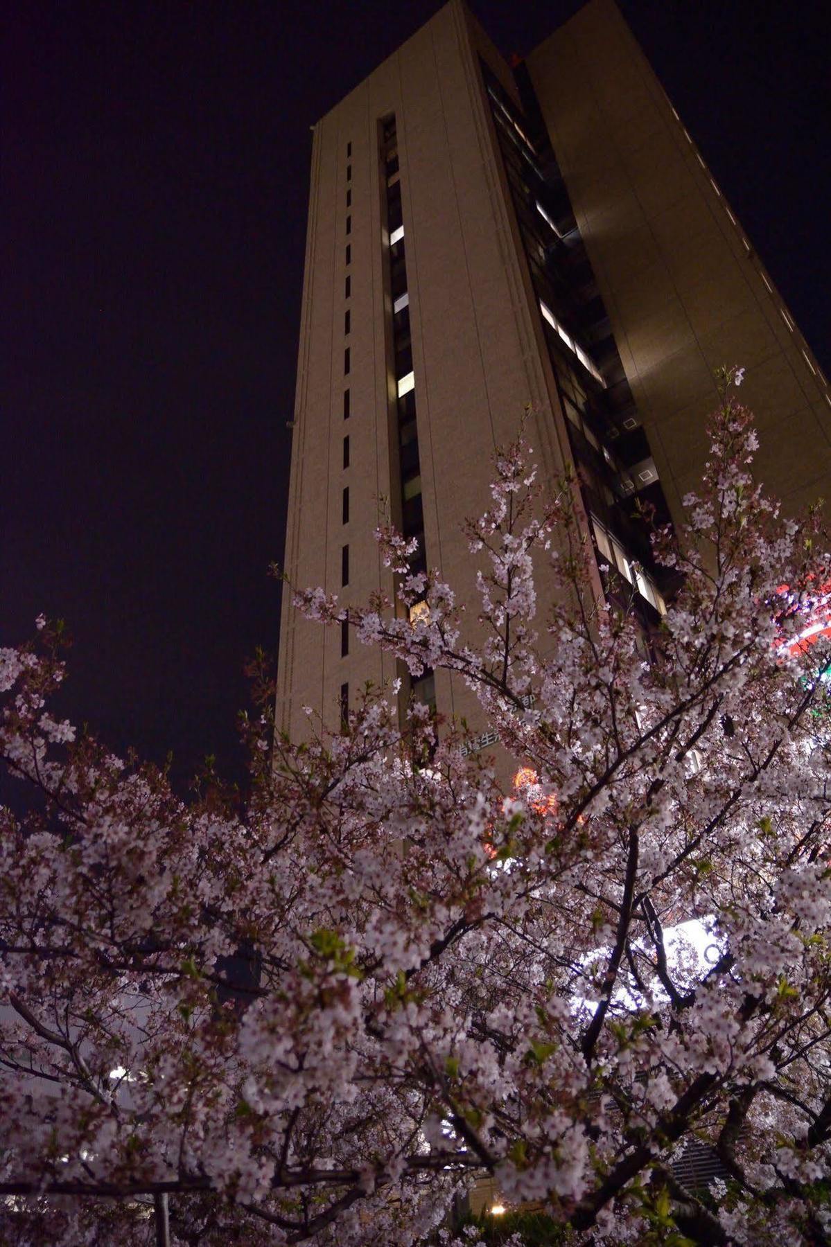 Tokyo Central Youth Hostel Zewnętrze zdjęcie